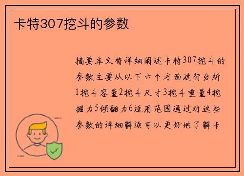 卡特307挖斗的参数